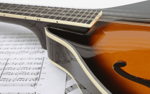 Mandolinenkoffer Test: Die 11 besten (Bestenliste)