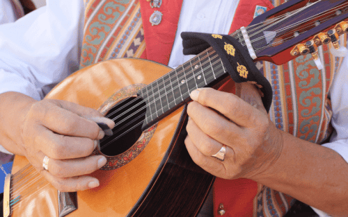 Mandolinenplektrum Test: Die 11 besten (Bestenliste)